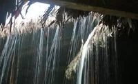 Regenwald - Peru